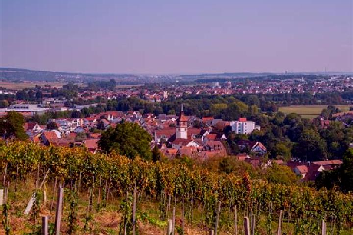 escort Steinheim an der Murr