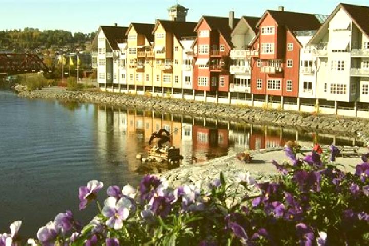 escort Steinkjer