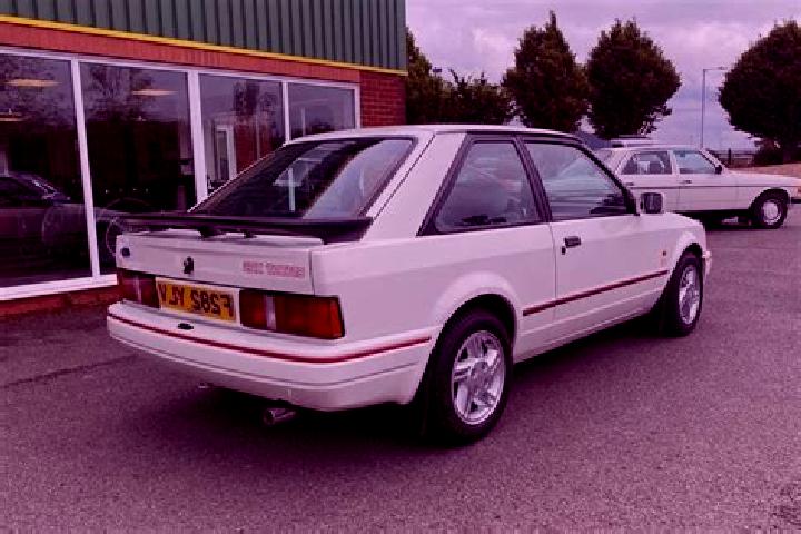 escort Steinrode