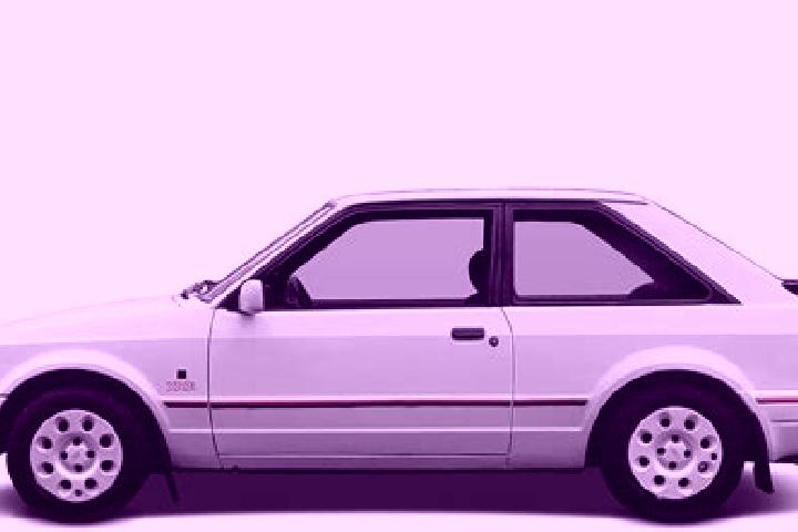 escort Stemshorn