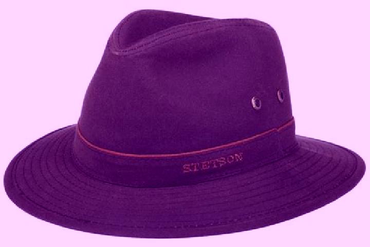 escort Stetson