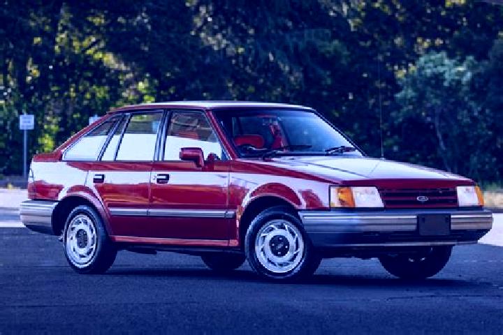 escort Steynton