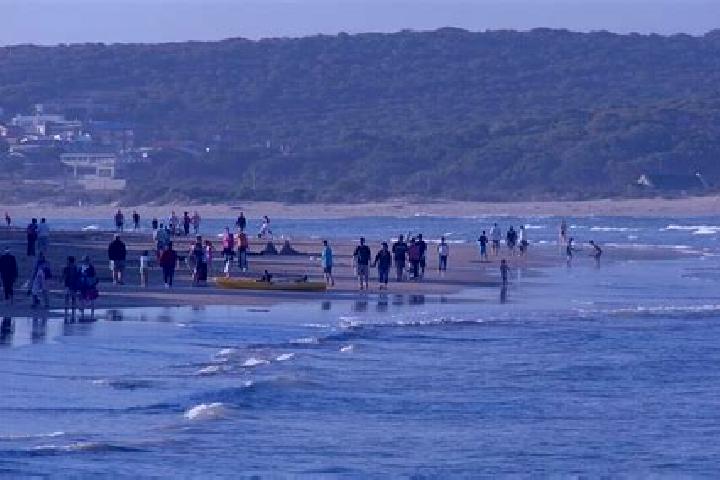 escort Stilbaai