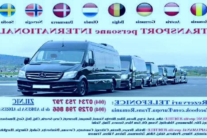 escort Stoenesti
