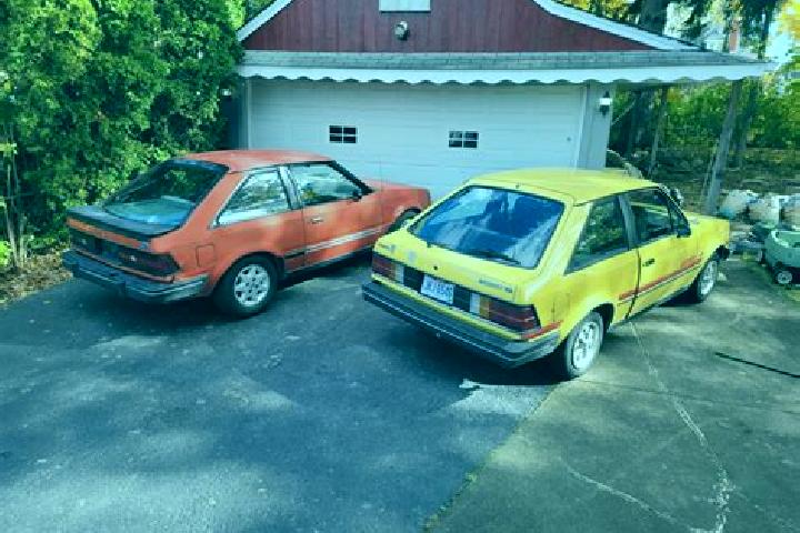 escort Stokes Valley
