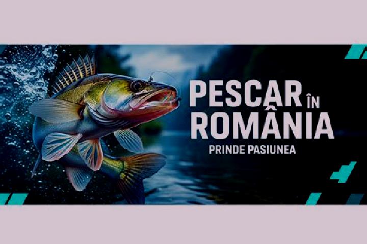 escort Stolniceni-Prajescu