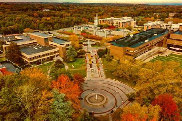 escort Stony Brook