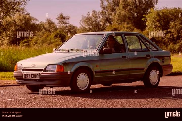 escort Stony Plain