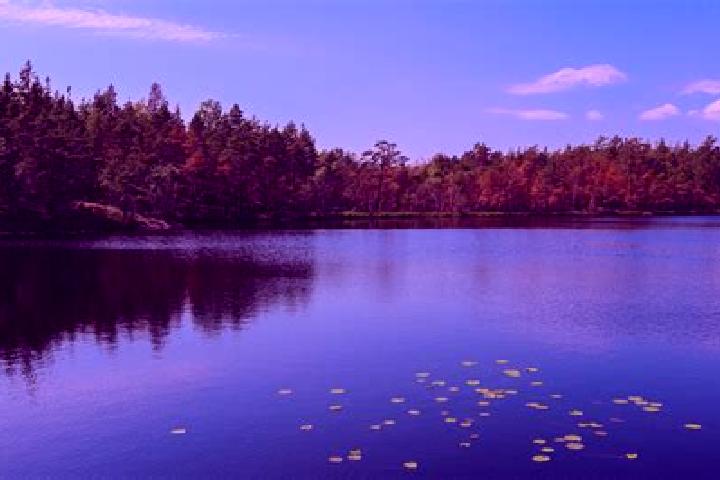 escort Storm Lake