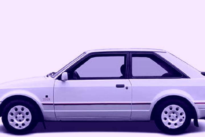 escort Storrs