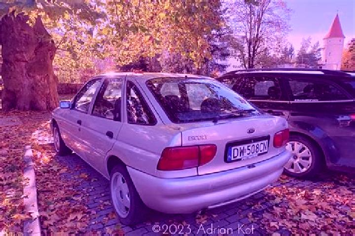 escort Strahinj
