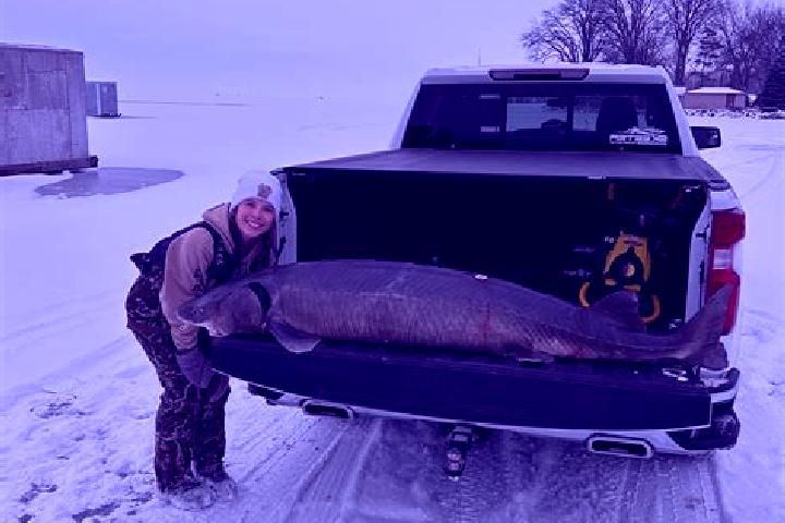 escort Sturgeon Bay