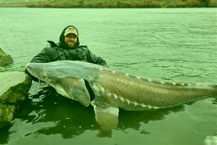 escort Sturgeon