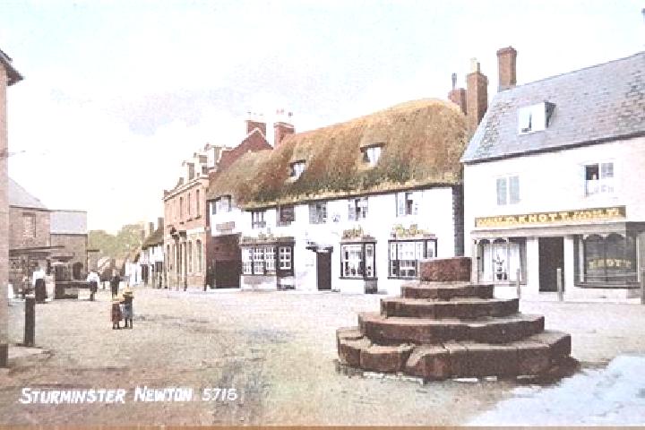 escort Sturminster Newton
