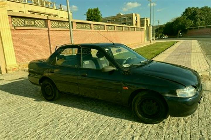 escort Suez