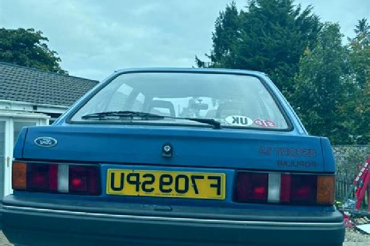 escort Suffolk Park