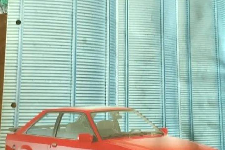 escort Sukosd