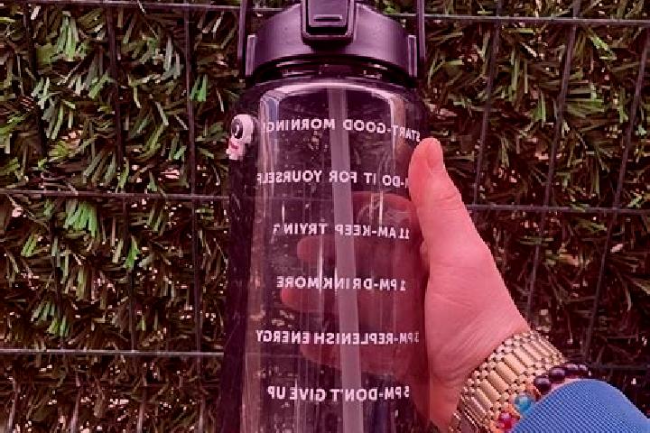 escort Suluk