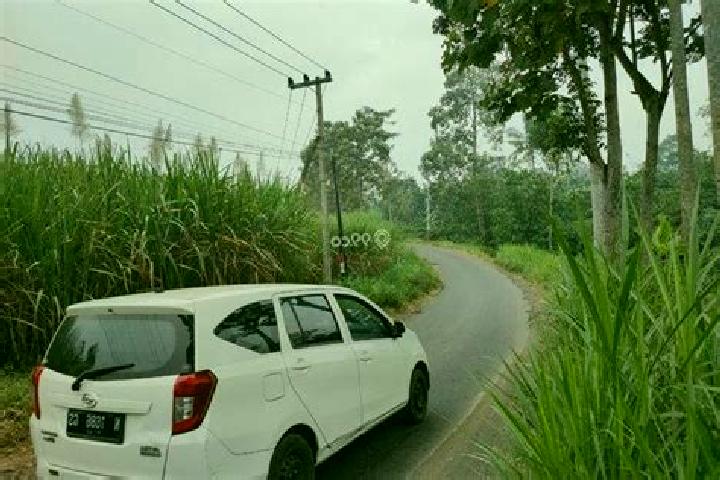 escort Sumbermanjing Wetan