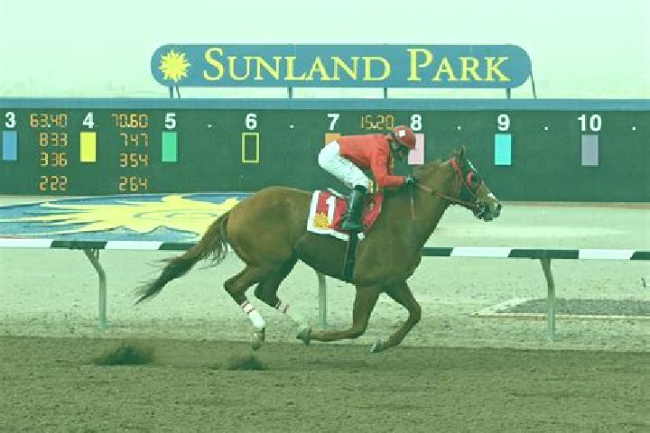 escort Sunland