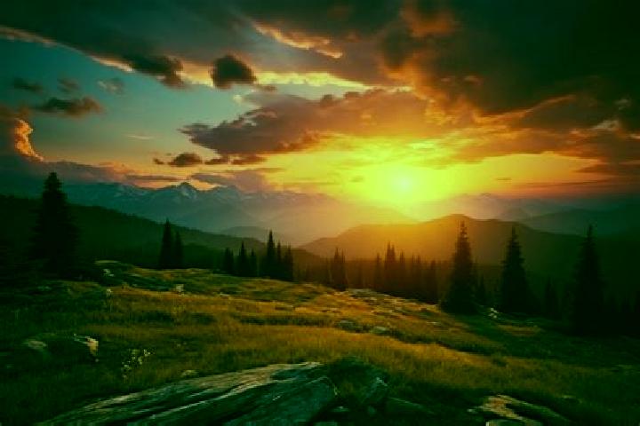 escort Sunset Valley