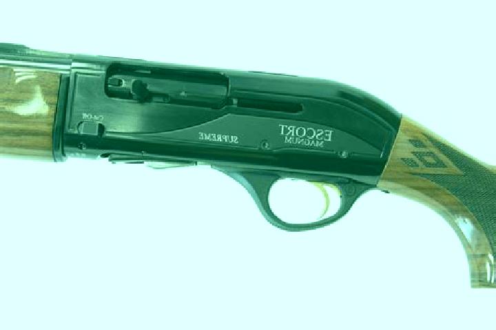 escort Supreme