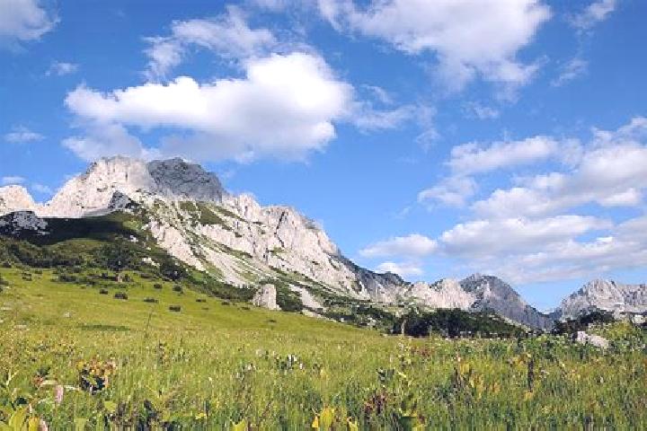 escort Sutjeska