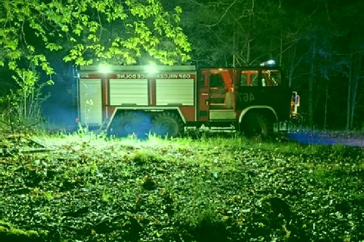 escort Swierklany Dolne