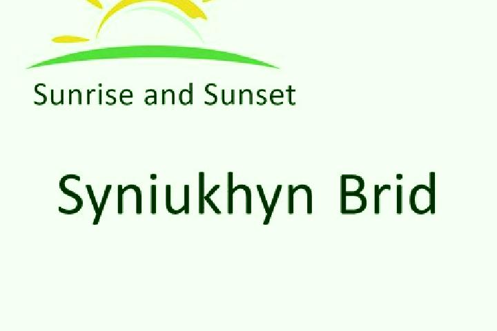 escort Syniukhyn Brid