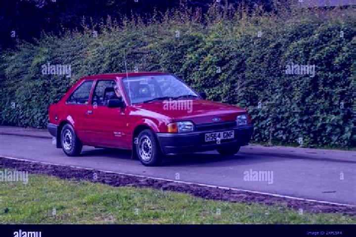 escort Szakcs