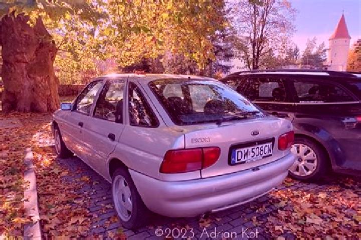 escort Szczytna