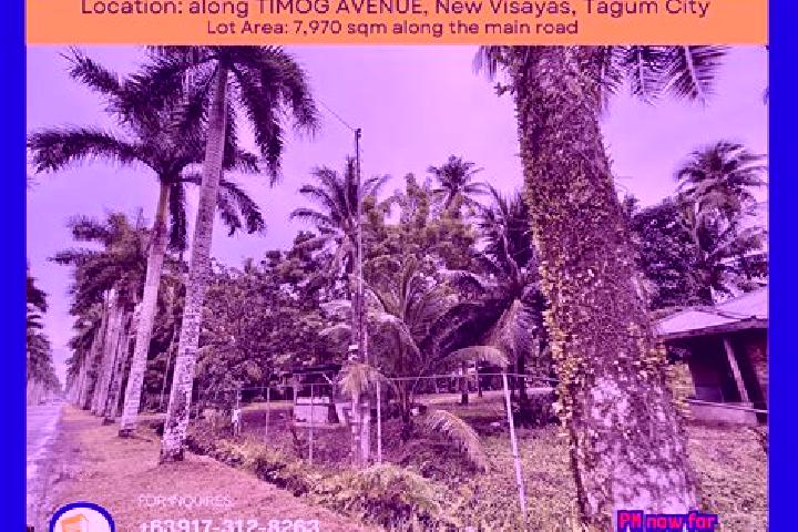 escort Tagum Norte