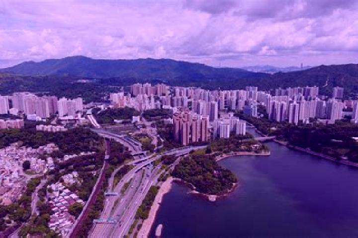 escort Tai Wo