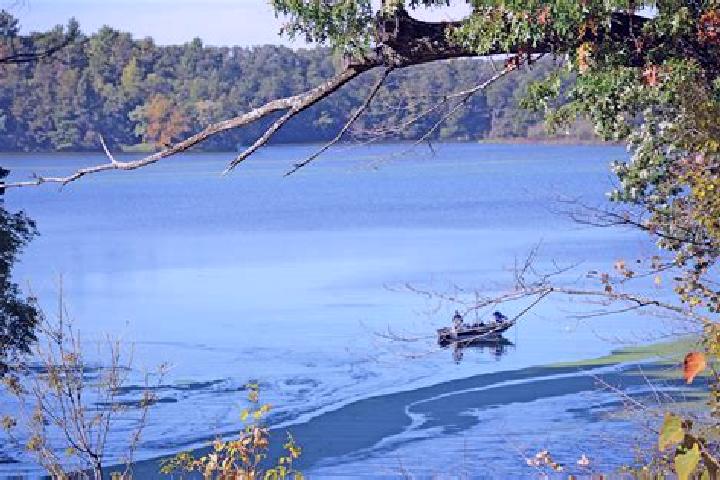 escort Tainter Lake