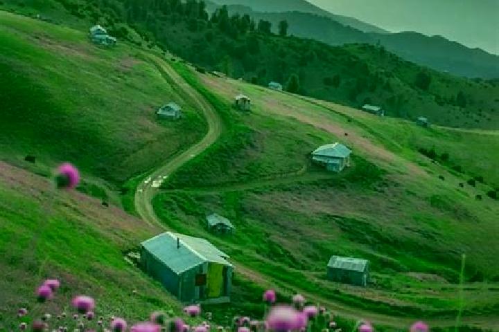 escort Talesh Mahalleh