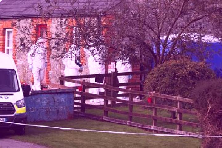 escort Tallanstown