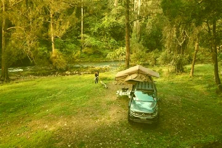 escort Tallebudgera Valley