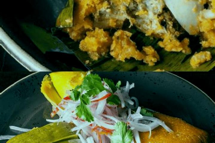 escort Tamale
