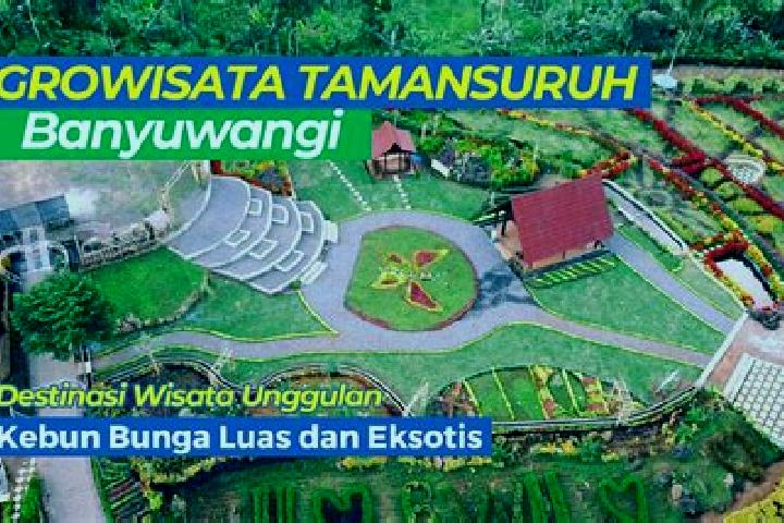 escort Taman Suruh Krajan