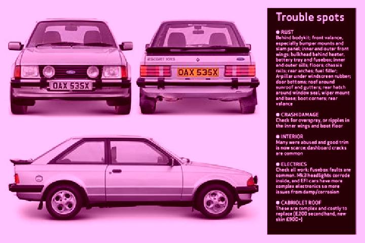 escort Tamiami