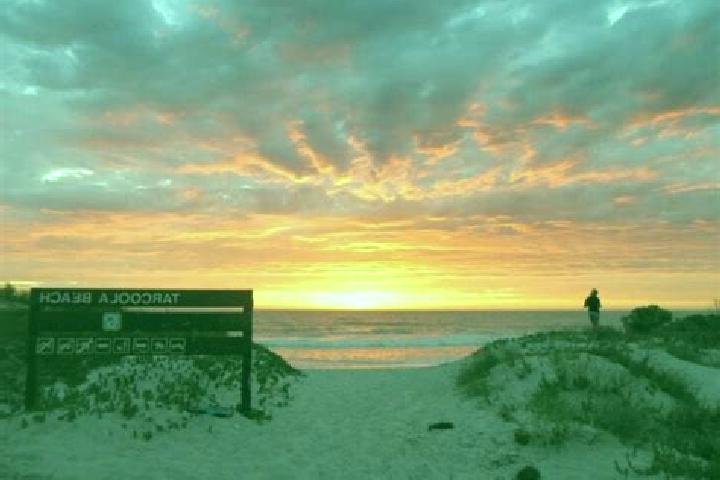 escort Tarcoola Beach