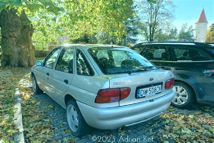 escort Targu Bujor