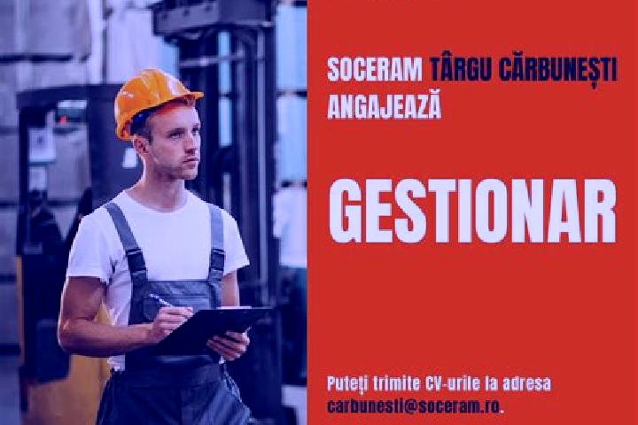 escort Targu Carbunesti