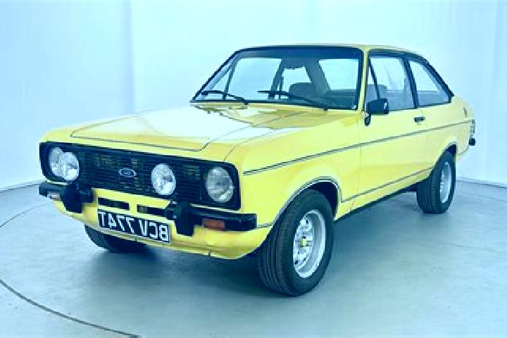 escort Tarlungeni