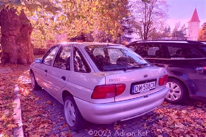 escort Tarnita