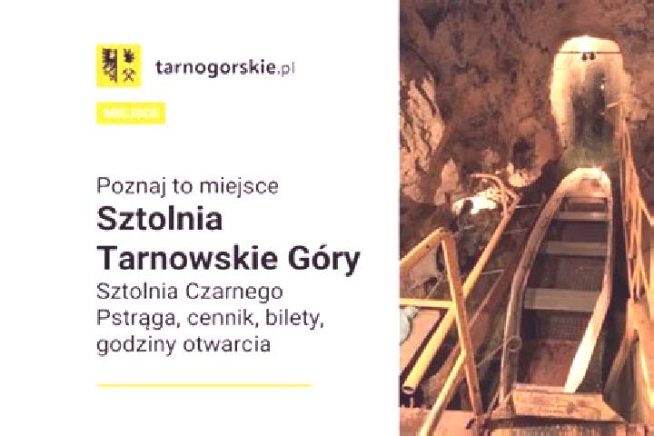 escort Tarnowskie Gory
