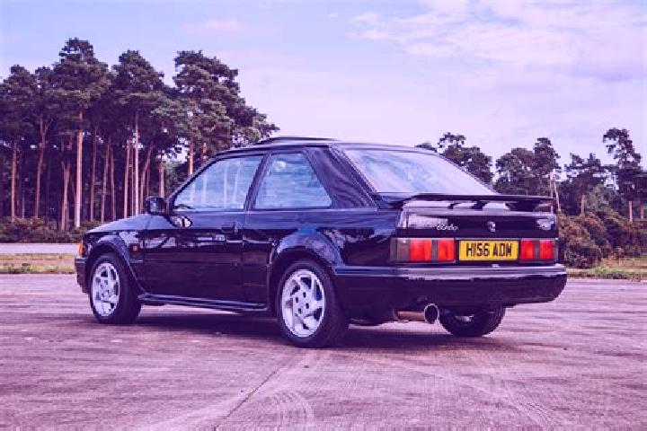escort Tarub