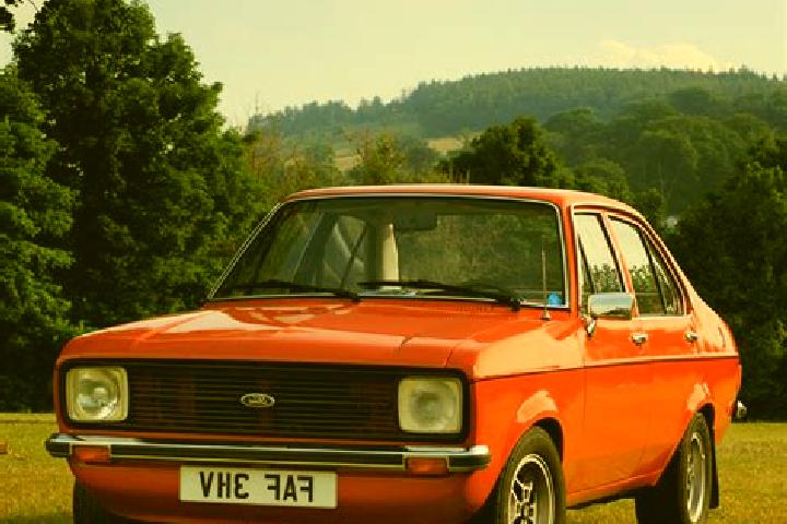 escort Tarzii