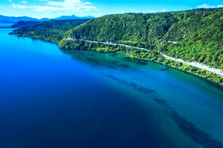 escort Taupo
