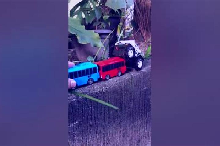 escort Tayo